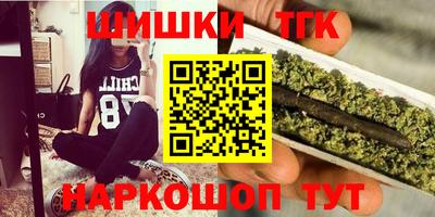 Альфа ПВП Ярославль