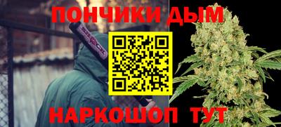 Альфа ПВП Ярославль