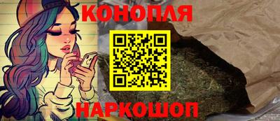Альфа ПВП Ярославль
